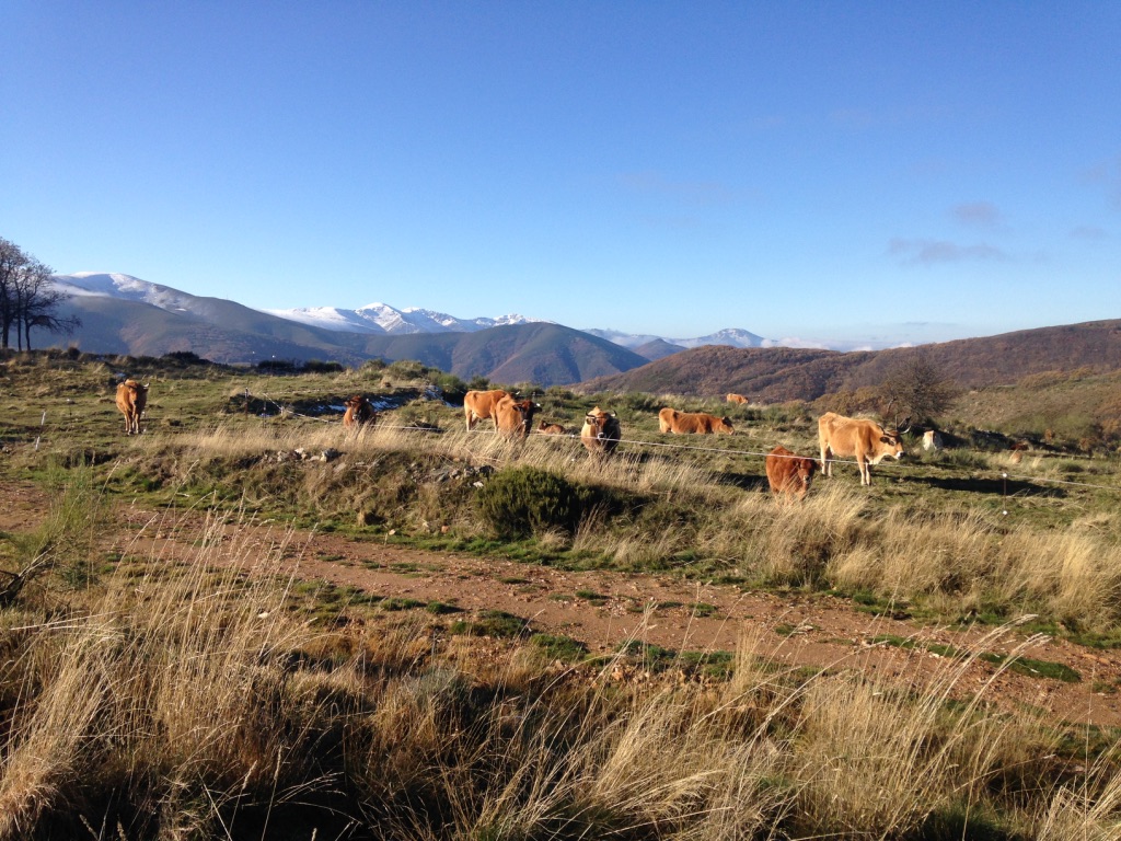 the village of El Acebo 