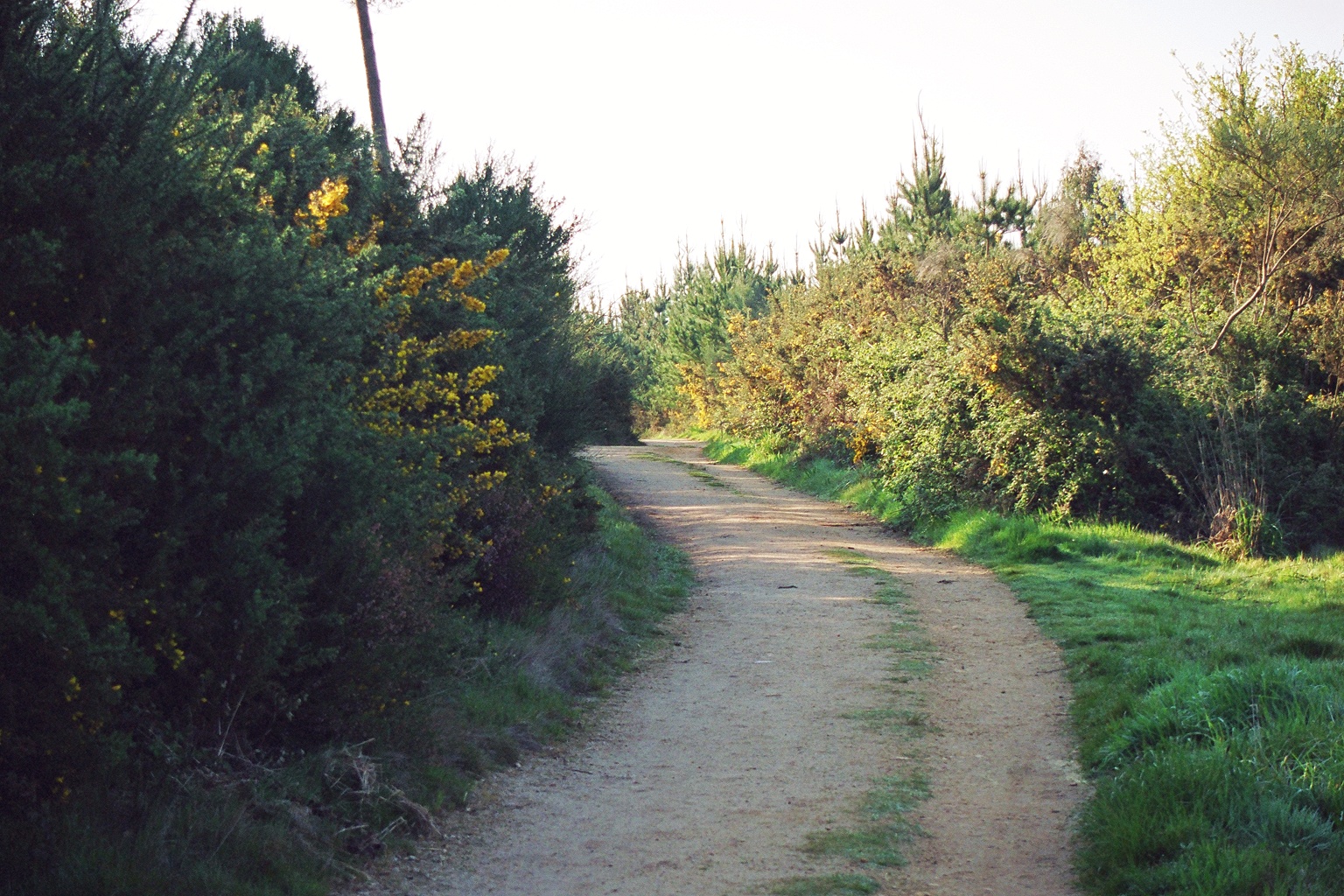 the village of melide