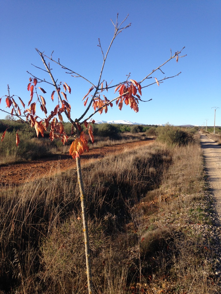 Rabanal del Camino hiking trail with view of the mountains