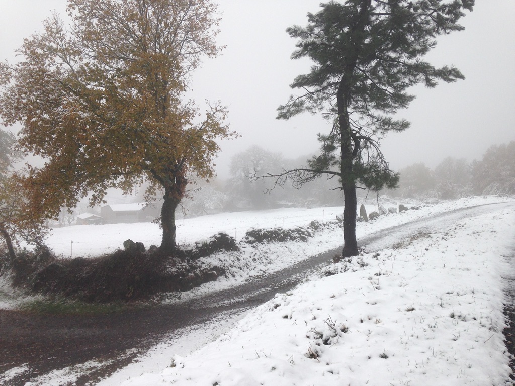 Weather Profiles - Camino Frances 